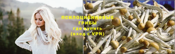 дмт Алзамай