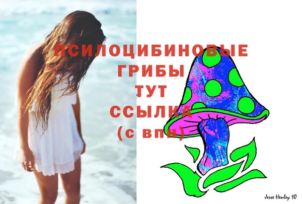 дмт Алзамай