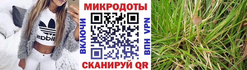 Псилоцибиновые грибы Magic Shrooms  mega рабочий сайт  Старый Оскол  дарнет шоп 
